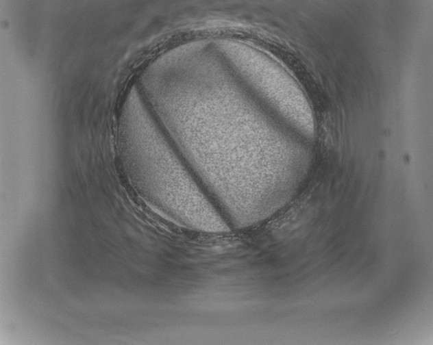 X0000080191493200612221327