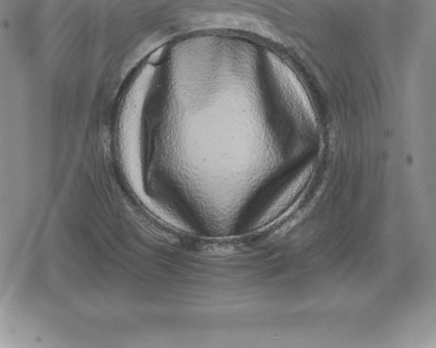 X0000080191505200612221328