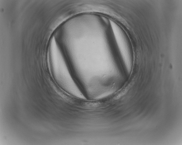 X0000080191513200612221328