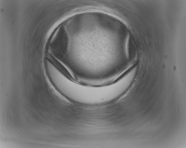 X0000080191518200612221328