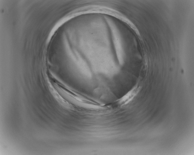 X0000080191530200612221328
