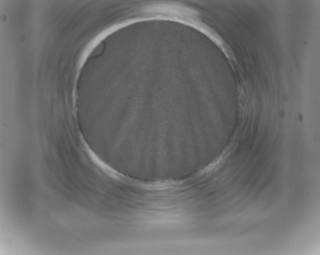 X0000080191535200612221328