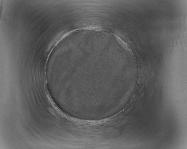 X0000080190002200612302324