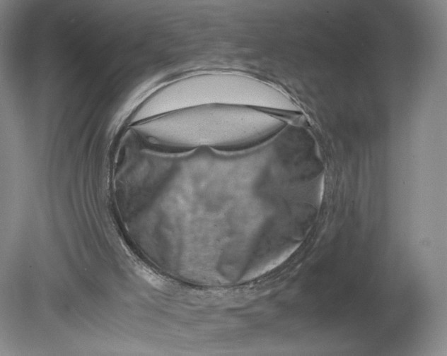 X0000080190005200612302323