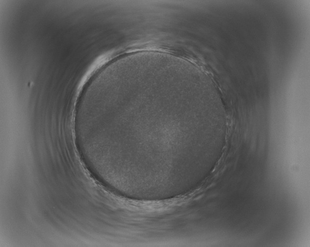 X0000080190006200612302323