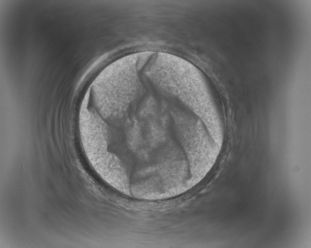 X0000080190007200612302323