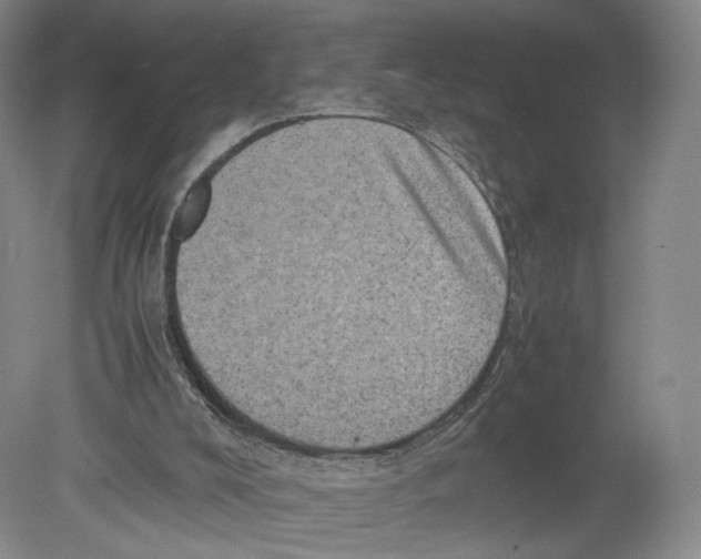 X0000080190008200612302323