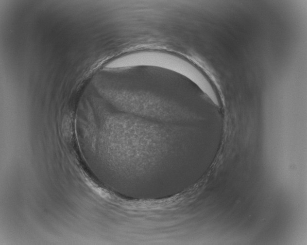 X0000080190009200612302323