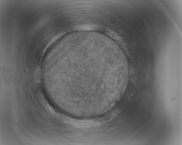 X0000080190012200612302323