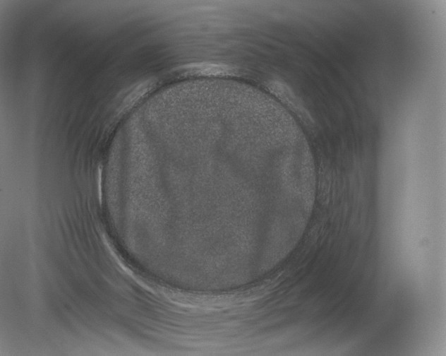 X0000080190014200612302323