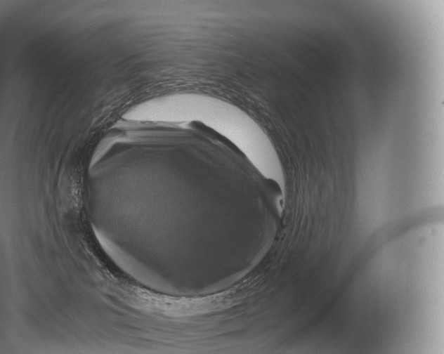 X0000080190039200612302323