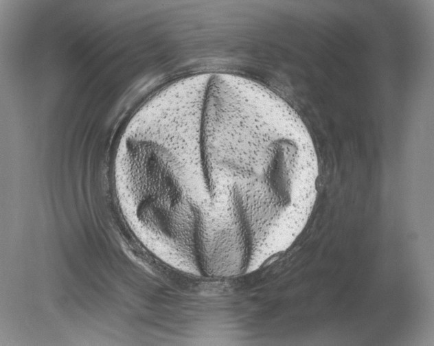 X0000080190050200612302322