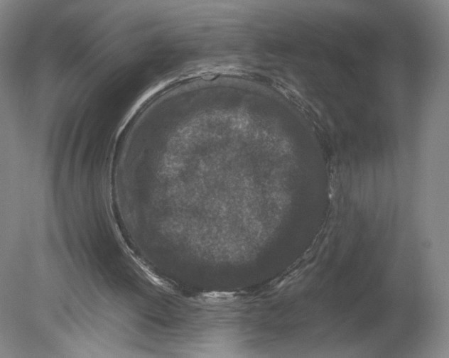 X0000080190052200612302322