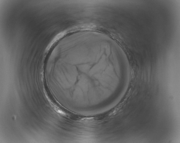 X0000080190054200612302322