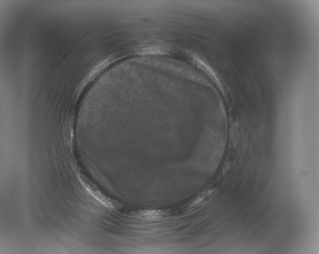 X0000080190059200612302322