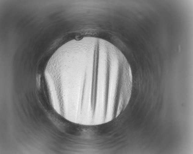 X0000080190070200612302322