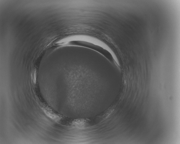X0000080190076200612302322