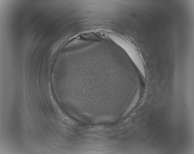 X0000080190097200612302322