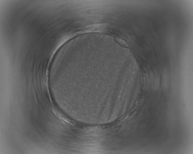 X0000080190100200612302322