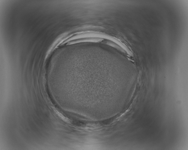 X0000080190101200612302322