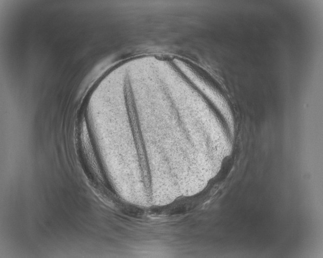 X0000080190103200612302322