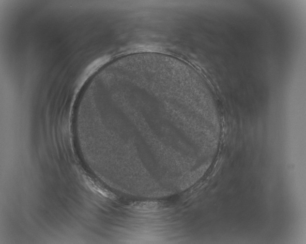 X0000080190104200612302322