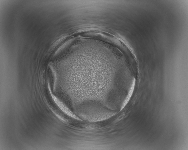 X0000080190105200612302322