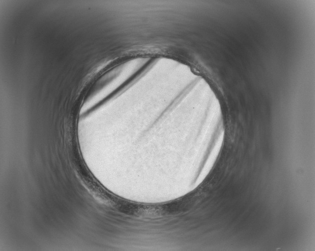 X0000080190107200612302322