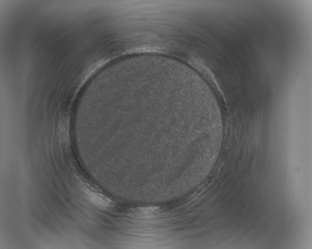 X0000080190108200612302322