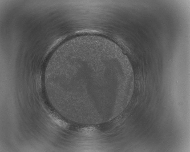 X0000080190112200612302322