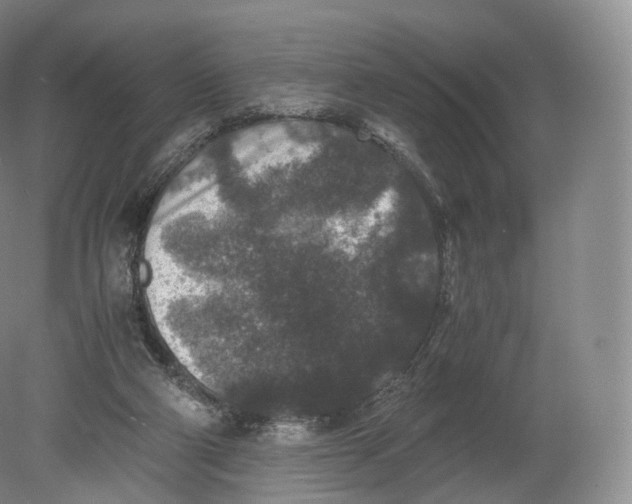 X0000080190114200612302322
