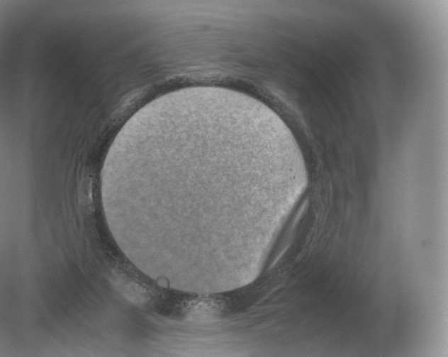X0000080190115200612302322