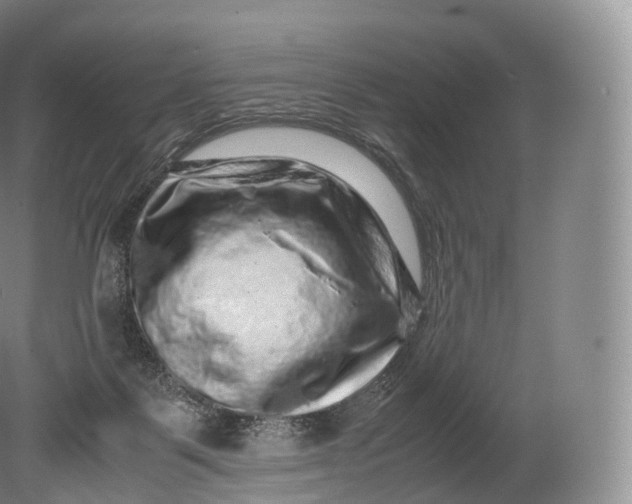X0000080190123200612302321