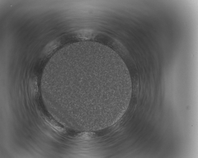 X0000080190128200612302321