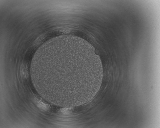 X0000080190136200612302321