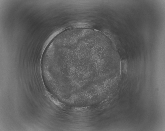 X0000080190147200612302320