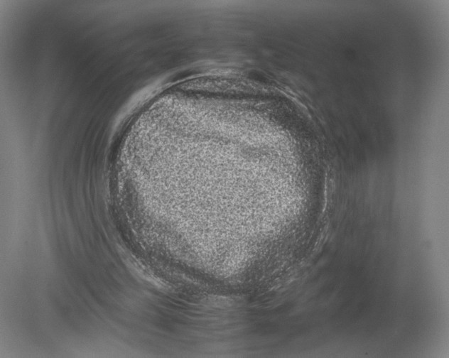 X0000080190149200612302320