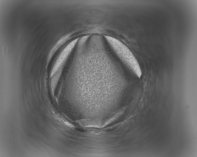 X0000080190152200612302320