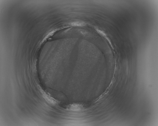 X0000080190154200612302320