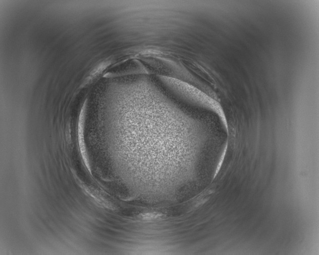X0000080190158200612302321