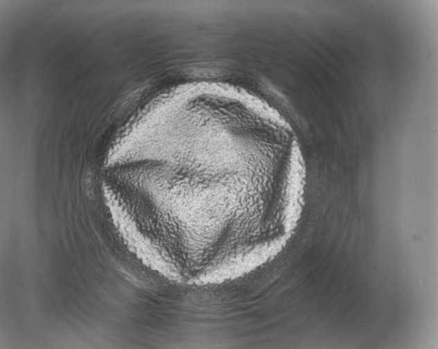 X0000080190161200612302321