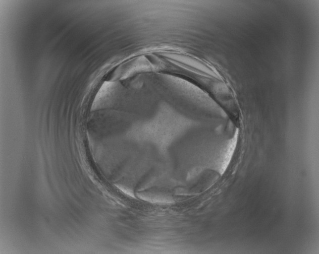 X0000080190193200612302320