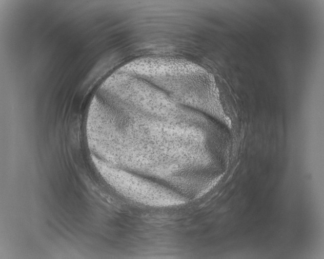 X0000080190194200612302320