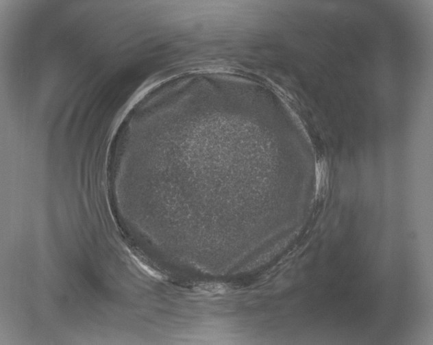X0000080190195200612302320