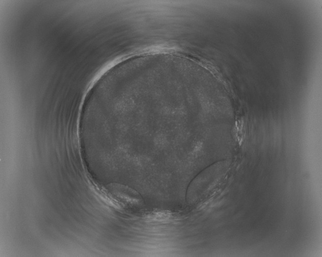 X0000080190196200612302320