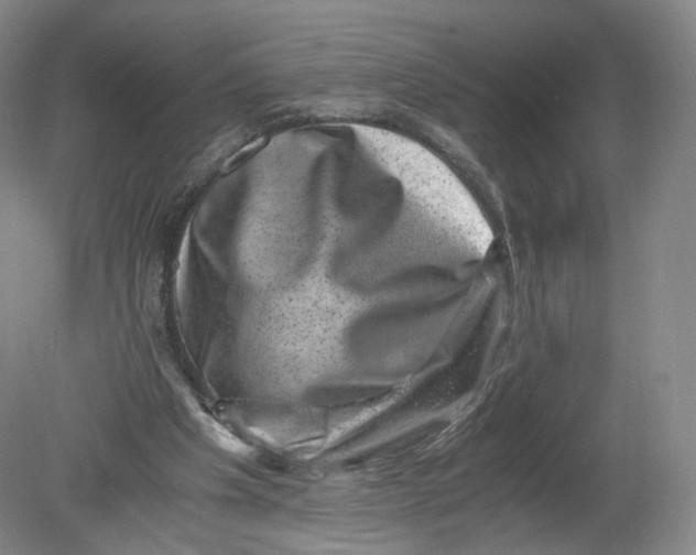 X0000080190201200612302320