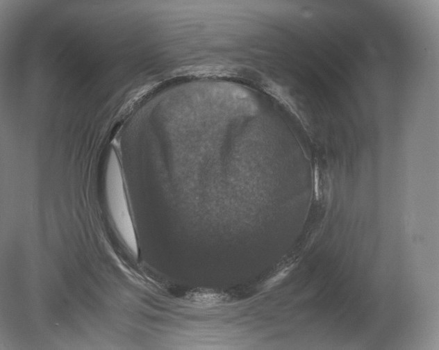 X0000080190205200612302320