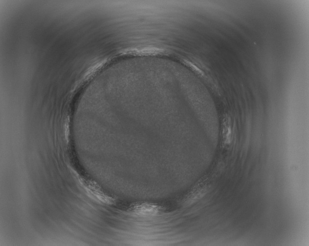 X0000080190206200612302320