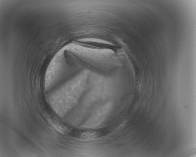 X0000080190213200612302320