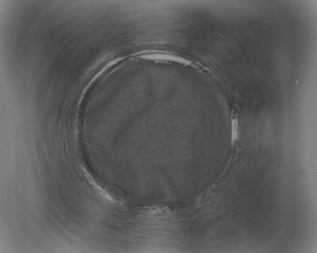 X0000080190243200612302319